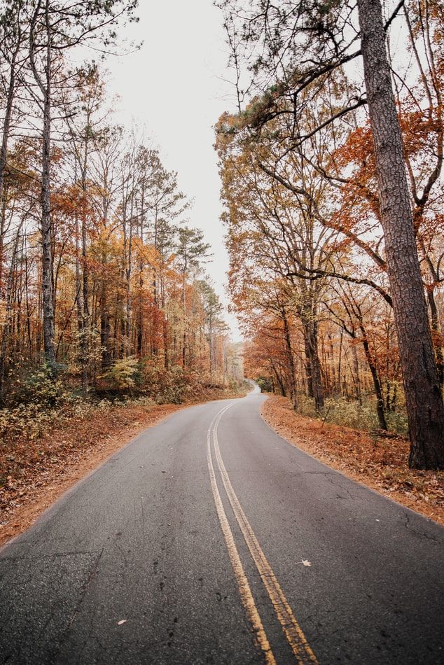 12 Road Trip Routes to Explore All Over the U.S.