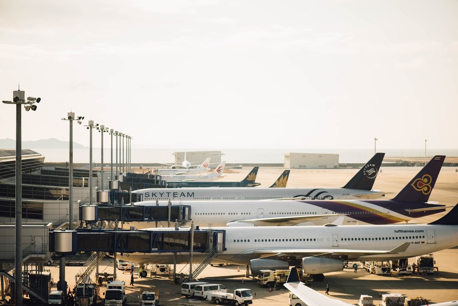 Are Immunity Passports the Future of Travel?