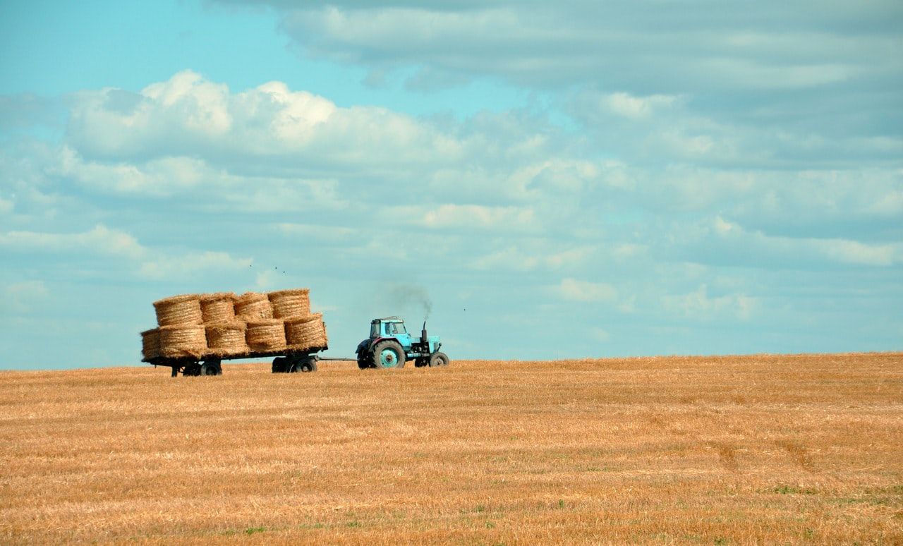 Rural States Have Received More PPP Loans So Far