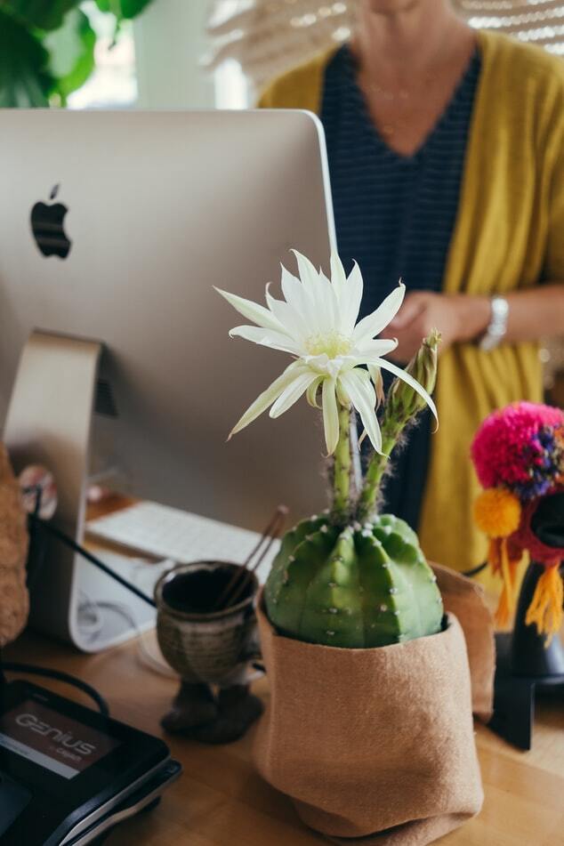 Small Business Grants and Loans Round-Up, March 5