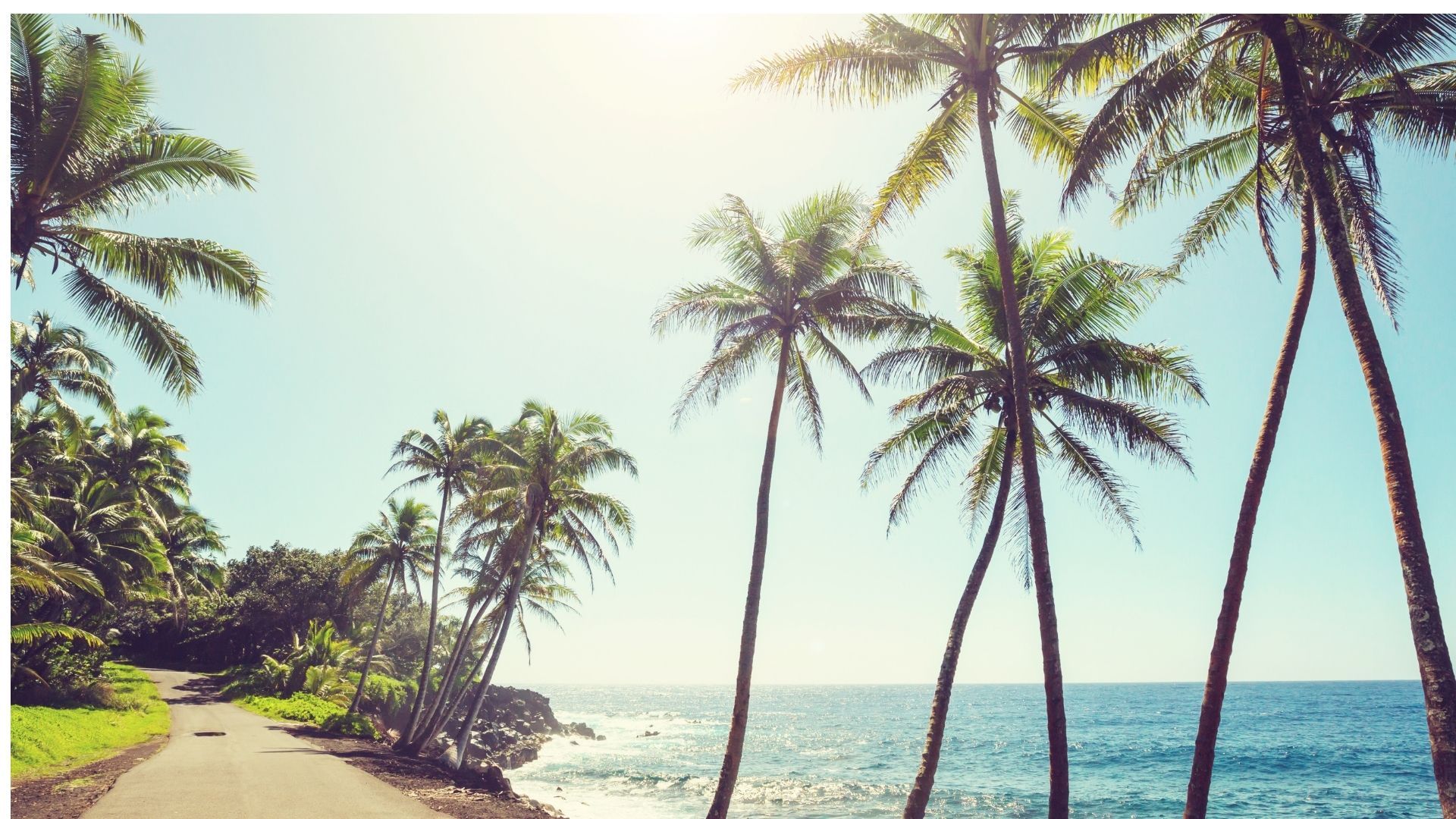 What You Should Know About Hawaii's Vaccine Passport Program