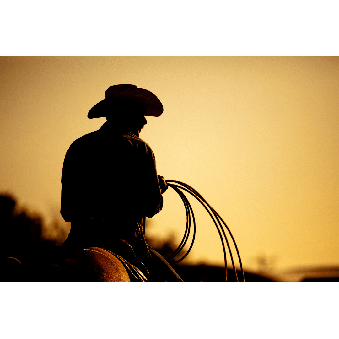 New Grants and Funding Options In Florida, Wyoming, Nebraska, and Iowa