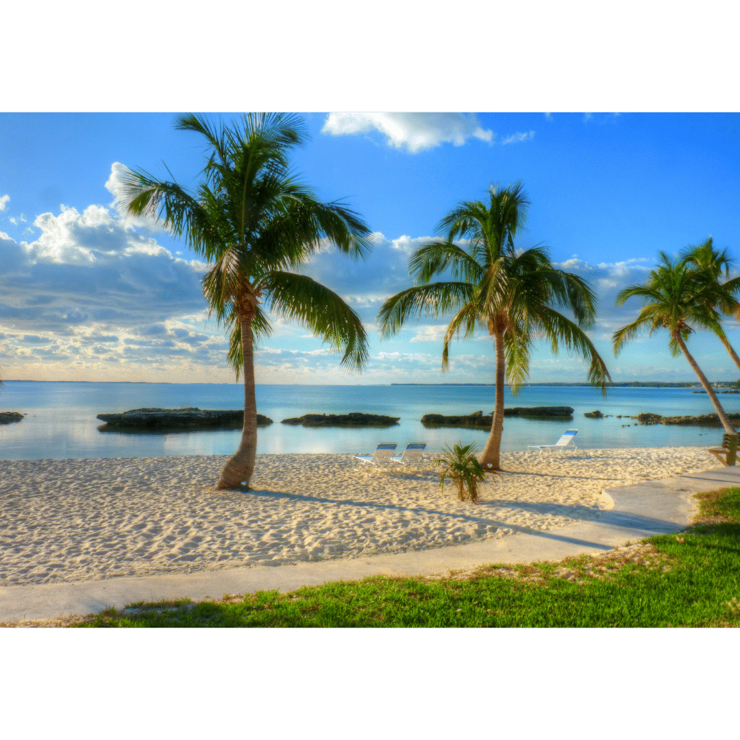 TSA PreCheck Now Available in the Bahamas — Here's The Scoop