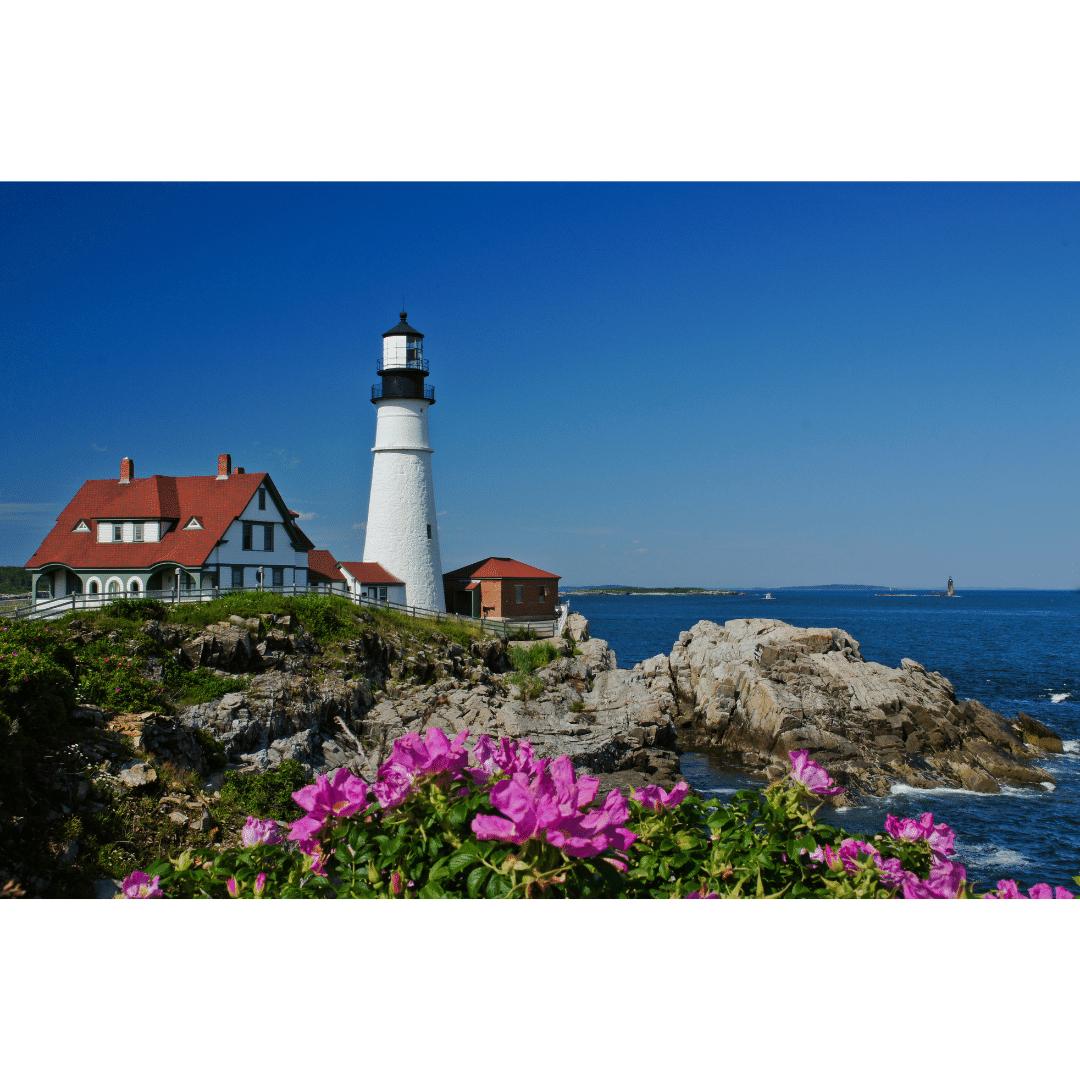 Ultimate Guide to Small Business Grants in Maine